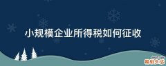 小规模企业所得税如何征收