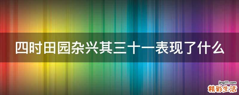 四时田园杂兴其三十一表现了什么