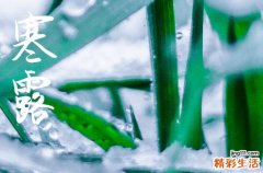 寒露发给客户的信息