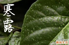 寒露发给女友的祝福语