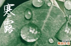 寒露节气发朋友圈说点啥