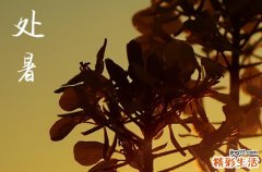 处暑节气是什么人的交运时间 处暑什么时间点交运