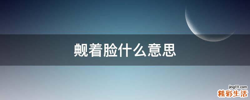 觍着脸什么意思