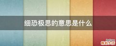 细恐极思的意思是什么