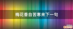 梅花香自苦寒来下一句