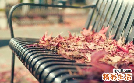 2 根治痘痘 精油调节水油平衡