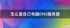 怎么查自己电脑DNS服务器
