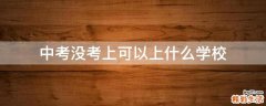 中考没考上可以上什么学校