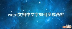 word文档中文字如何变成两栏