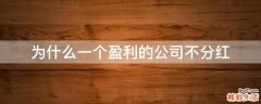 为什么一个盈利的公司不分红