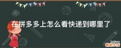 在拼多多上怎么看快递到哪里了