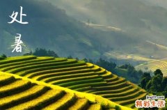 过了处暑天气会怎么样 处暑节气的特点