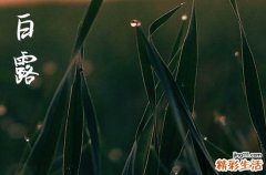 2023年白露节气的时间