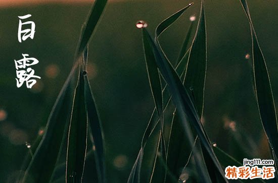 2023年白露节气的时间