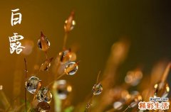 今年白露是哪天几点2023