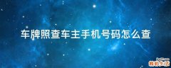 车牌照查车主手机号码怎么查