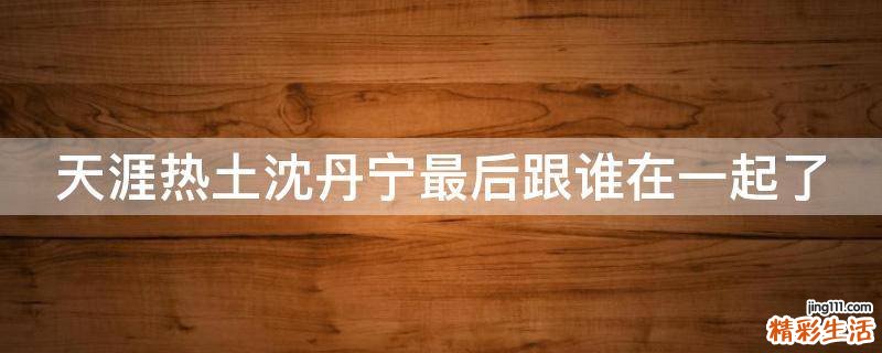 天涯热土沈丹宁最后跟谁在一起了