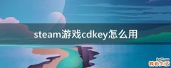 steam游戏cdkey怎么用