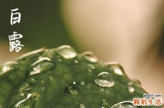 2023年什么时候白露几点几分