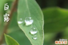 2023年什么时间白露