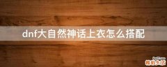 dnf大自然神话上衣怎么搭配