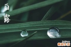 白露节气好钓鱼吗