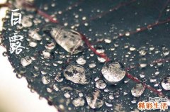 2023年白露今年是几月几日