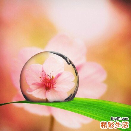 【怎样简单美白】睡前美白6步10要诀