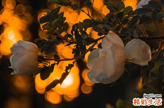 2023年末伏什么时候结束