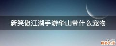 新笑傲江湖手游华山带什么宠物