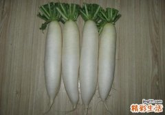 白萝卜煮水的功效 消食又化痰，白萝卜煮水用起来！