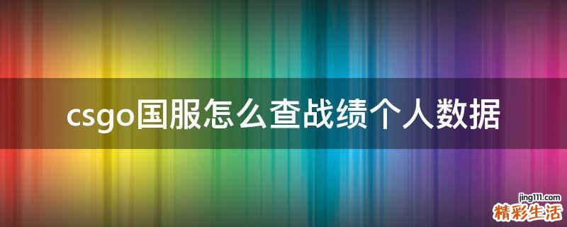 csgo国服怎么查战绩个人数据