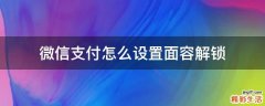 微信支付怎么设置面容解锁