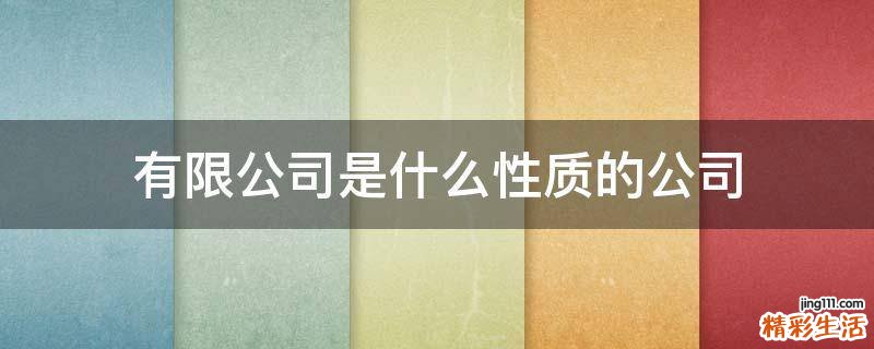 有限公司是什么性质的公司