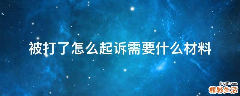 被打了怎么起诉需要什么材料