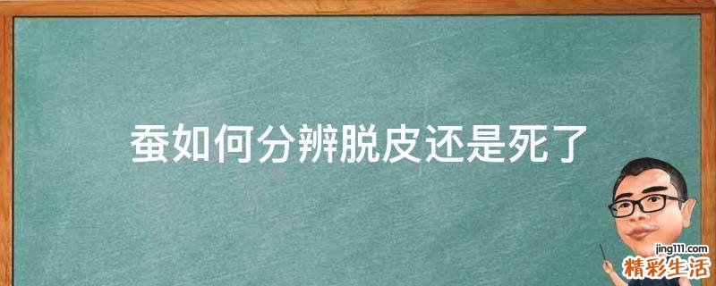 蚕如何分辨脱皮还是死了
