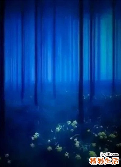 4 网友试水 热门祛痘精油TOP6