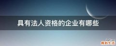 具有法人资格的企业有哪些