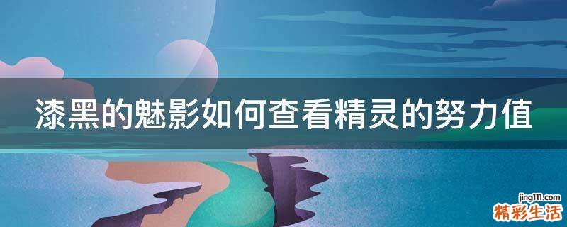 漆黑的魅影如何查看精灵的努力值