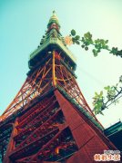 沙眼不及时治疗会惹来哪些并发症