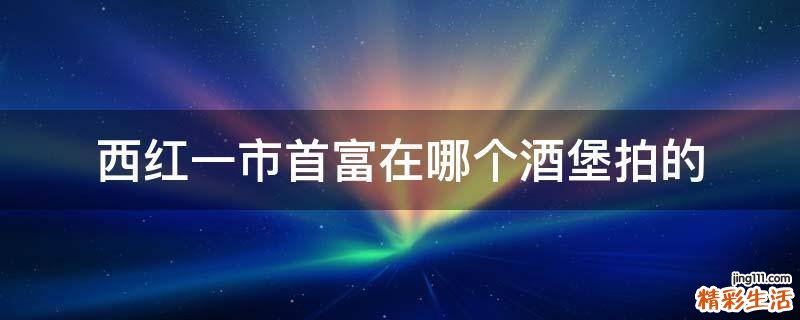 西红一市首富在哪个酒堡拍的