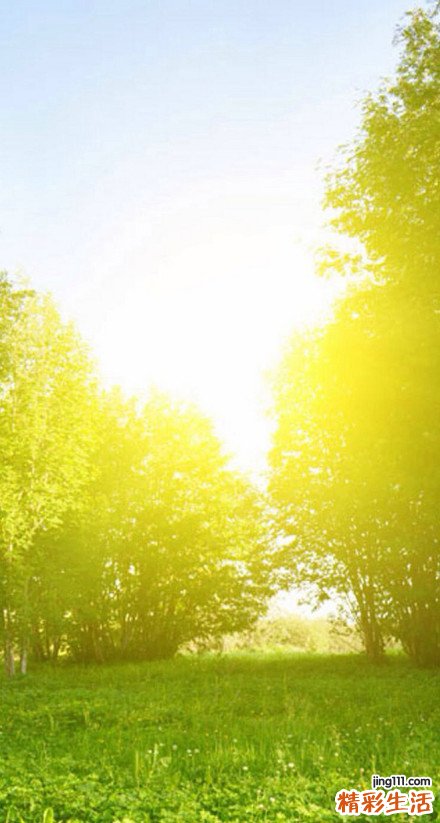 3 扫光痘痘9条实在美容秘笈