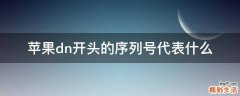 苹果dn开头的序列号代表什么