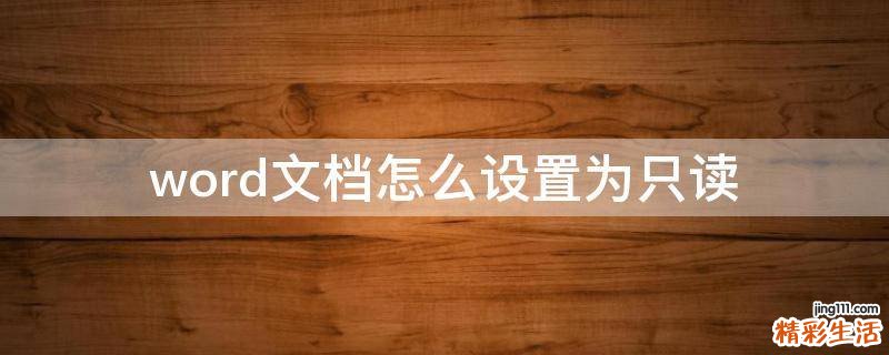 word文档怎么设置为只读