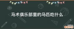 马术俱乐部里的马匹吃什么