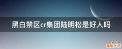 黑白禁区cr集团陆明松是好人吗