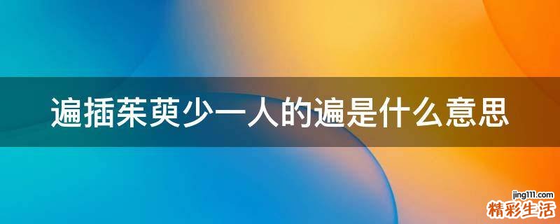 遍插茱萸少一人的遍是什么意思