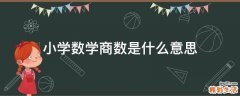 小学数学商数是什么意思