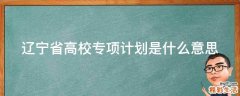 辽宁省高校专项计划是什么意思
