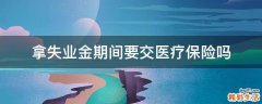拿失业金期间要交医疗保险吗